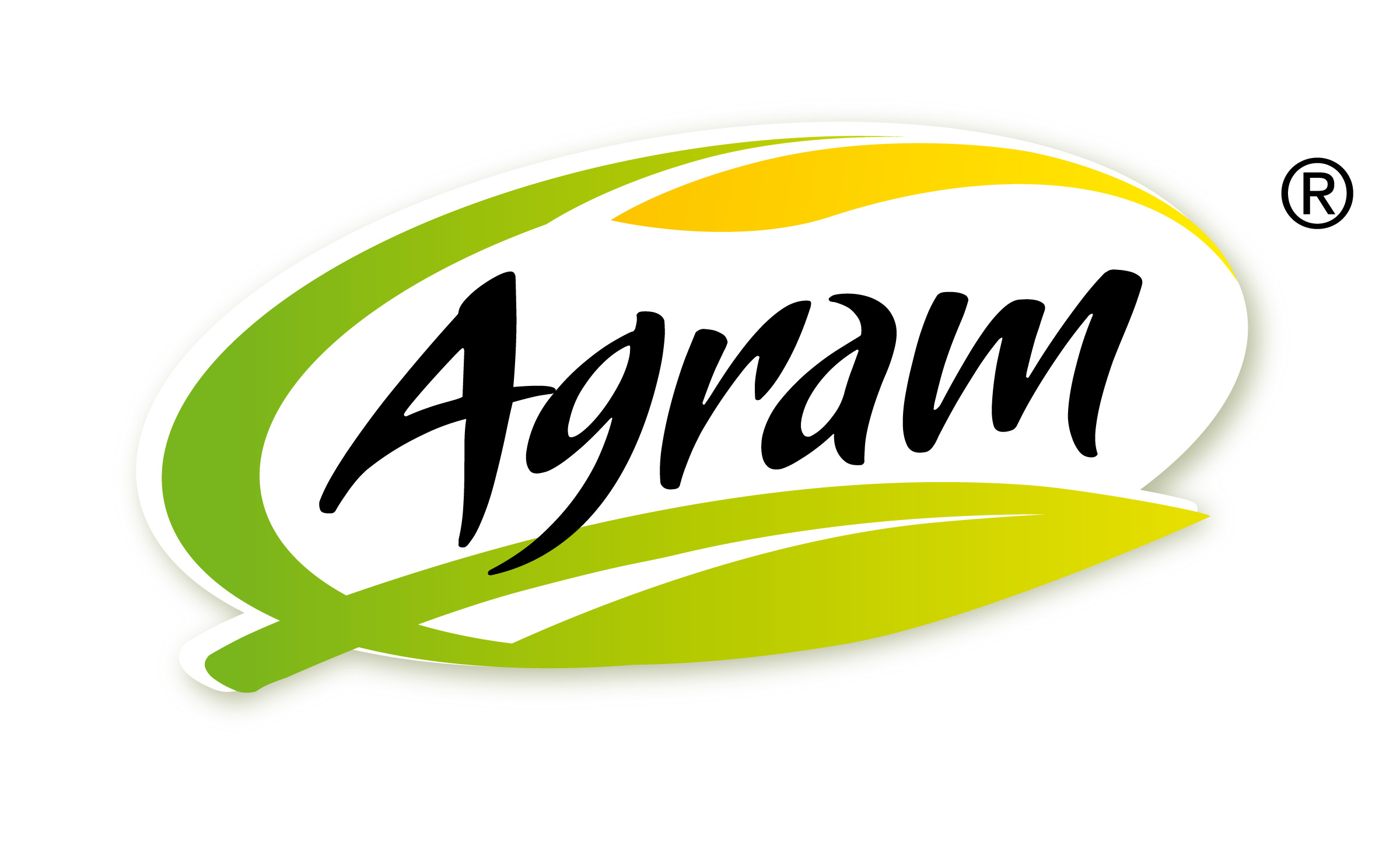Logo Agram